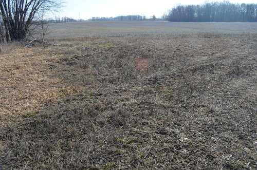 Property photo 17 - East Allen County - 55 Acre Land Auction